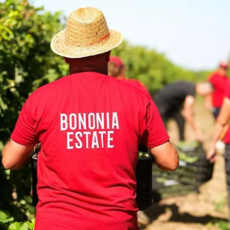 Hotell Bononia Estate Winery & *