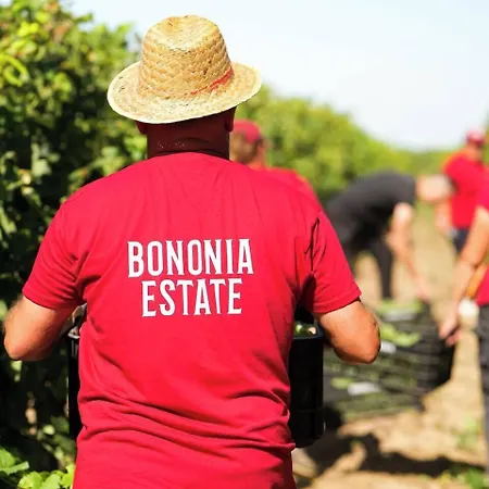 Bononia Estate Winery &